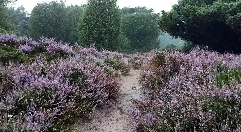 Semesterbostad i Mantinge