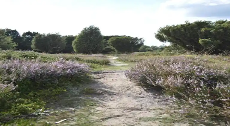 Semesterbostad i Mantinge