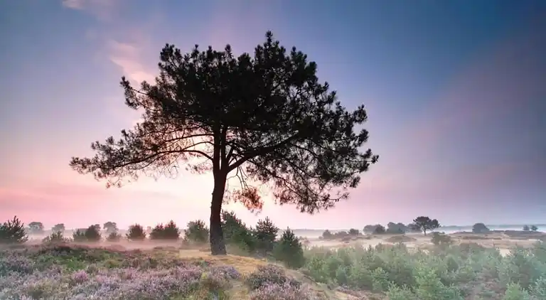 Semesterbostad i Mantinge