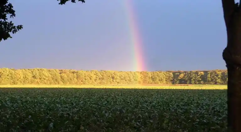 Semesterbostad i Mantinge