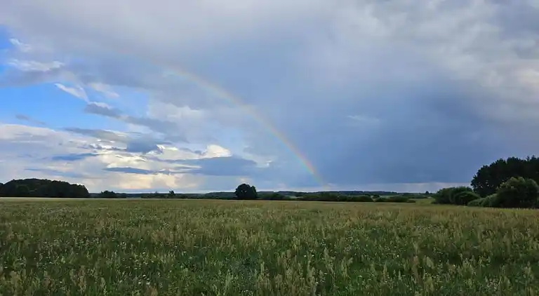 Hytte i Połomin-Kolonia