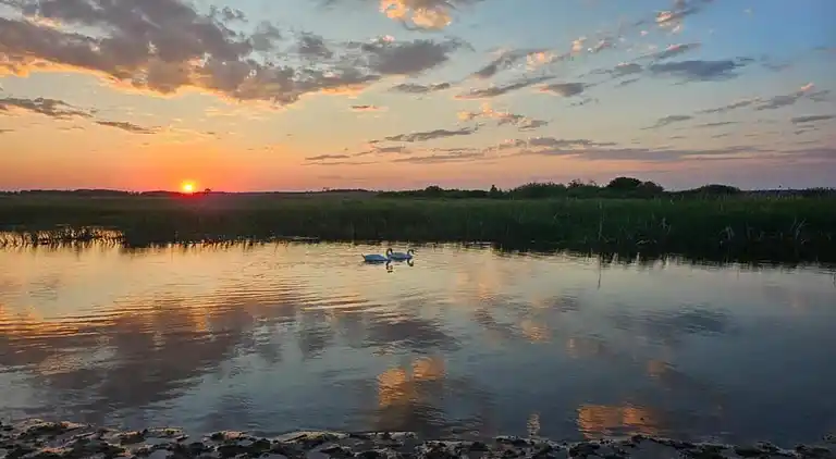 Hytte i Połomin-Kolonia