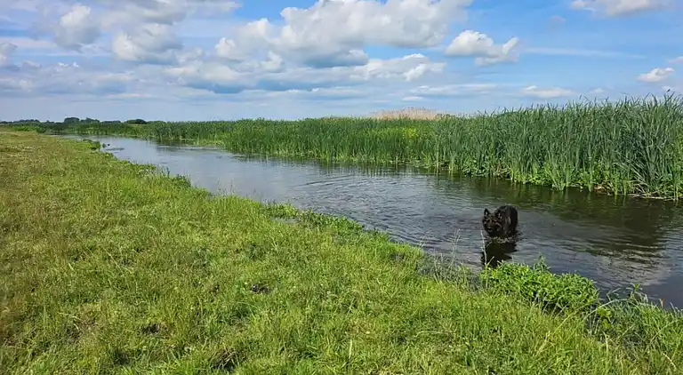 Hytte i Połomin-Kolonia