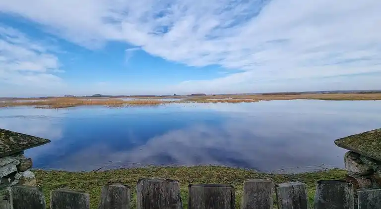 Hytte i Połomin-Kolonia