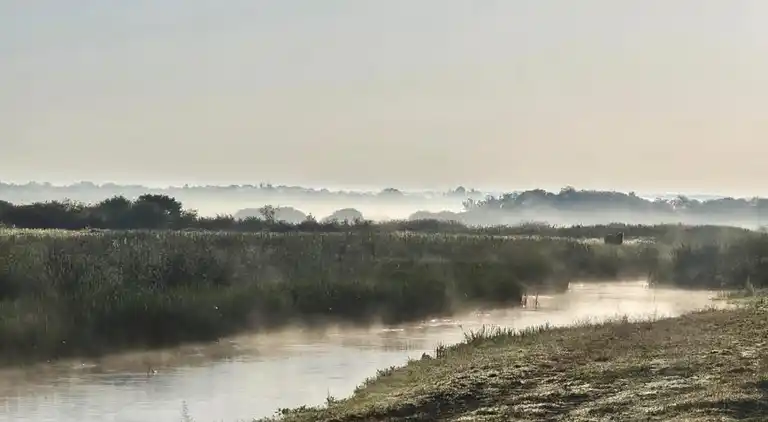 Hytte i Połomin-Kolonia