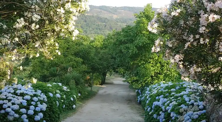 Sommerhus i Santa Cruz do Lima