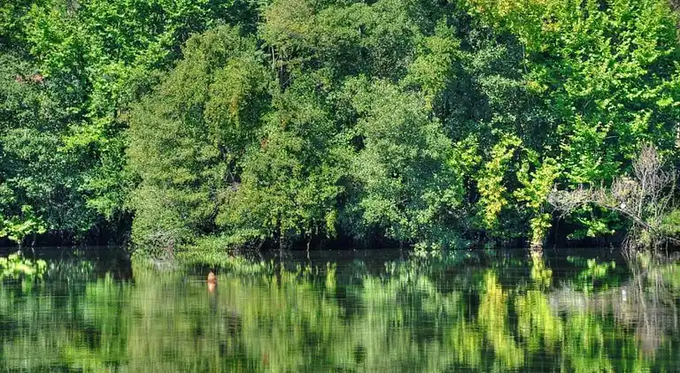 Sommerhus i Santa Cruz do Lima