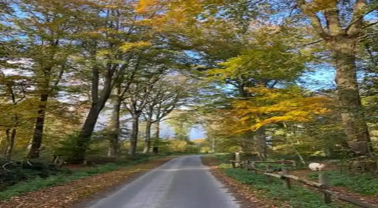 Herrgård i Poperinge