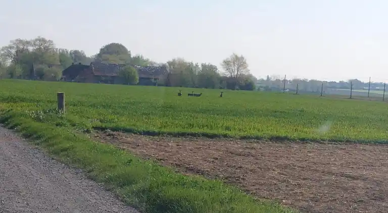 Herrgård i Poperinge