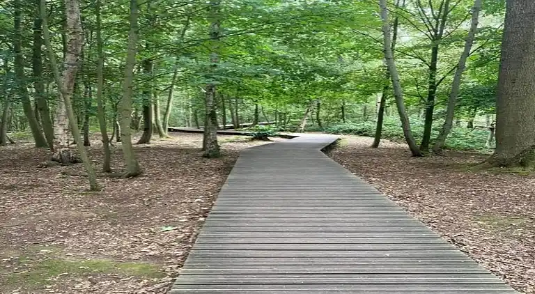 Herrgård i Poperinge