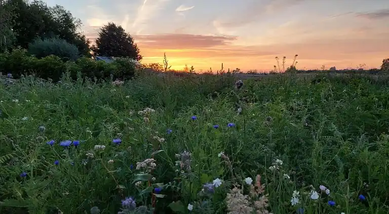 Herrgård i Poperinge