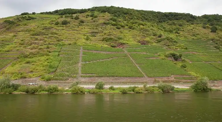 Ferielejlighed i Faid