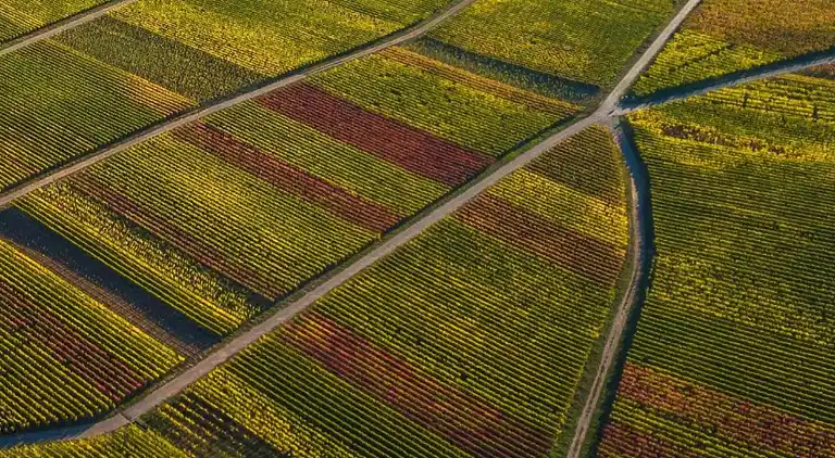 Ferielejlighed i Faid