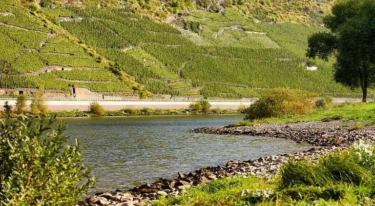 Ferielejlighed i Faid