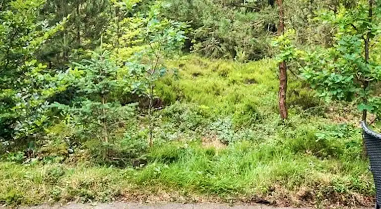 Semesterbostad i Hernings