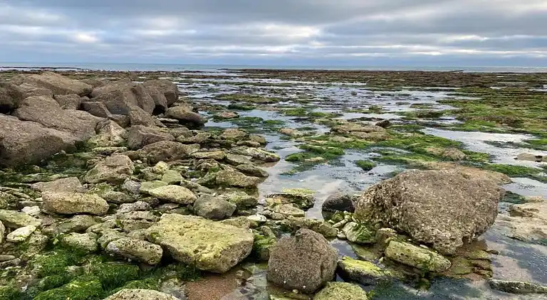 Sommerhus i Le Château-d'Oléron