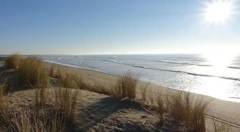 Sommerhus i Le Château-d'Oléron