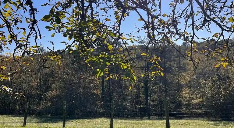Sommerhus i Marcillac-Saint-Quentin