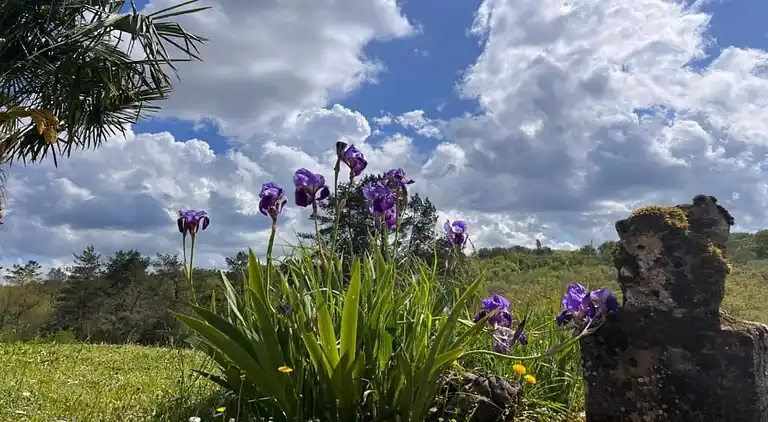 Sommerhus i Marcillac-Saint-Quentin