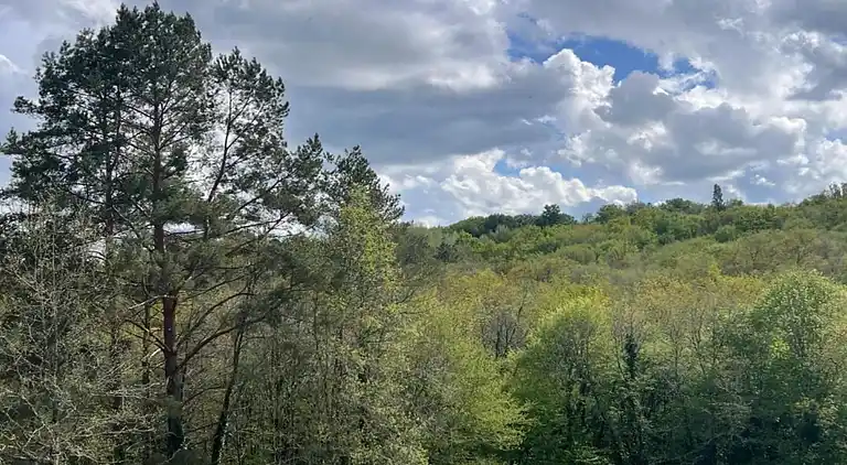 Sommerhus i Marcillac-Saint-Quentin