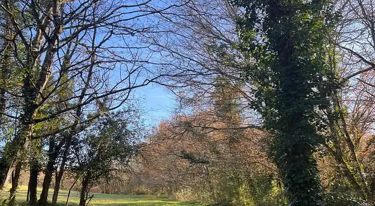 Sommerhus i Marcillac-Saint-Quentin