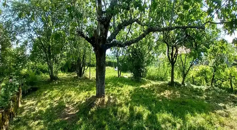 Sommerhus i Villeneuve-d'Allier