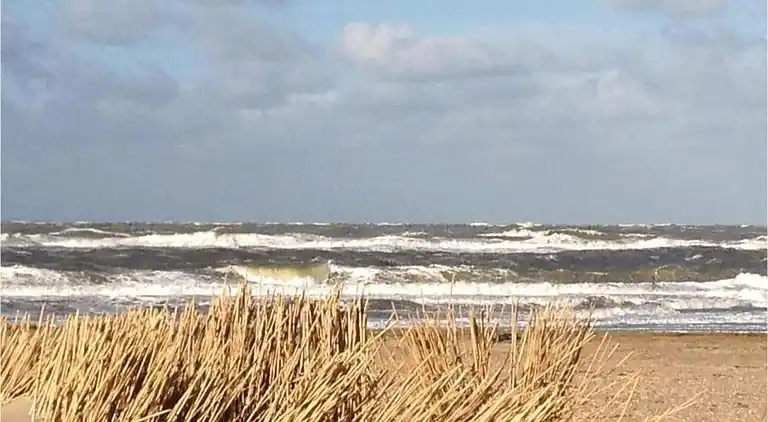 Sommerhus i Tuitjenhorn
