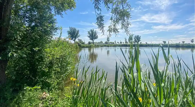 Sommerhus i Tuitjenhorn