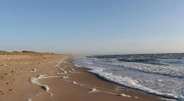 Sommerhus i Tuitjenhorn