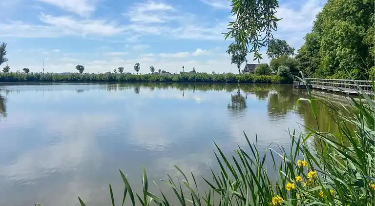 Sommerhus i Tuitjenhorn