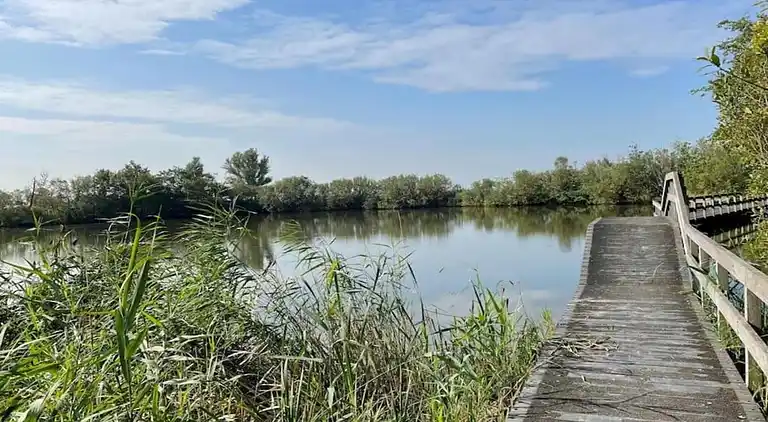 Sommerhus i Tuitjenhorn