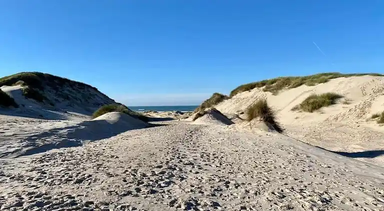 Sommerhus i Tuitjenhorn