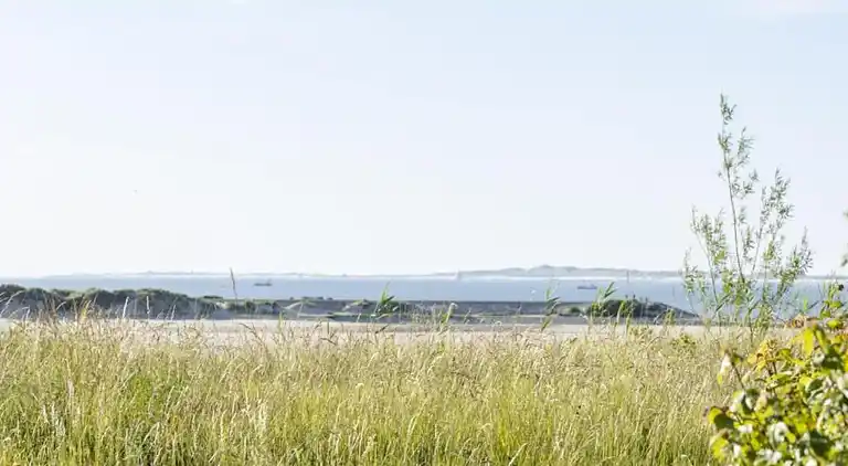 Holiday home in Breskens