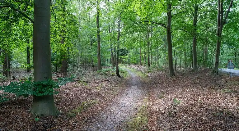 Semesterbostad i Rheezerveen