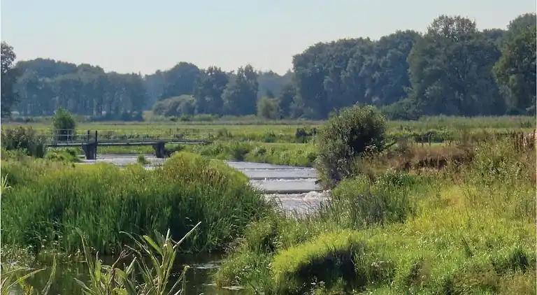 Semesterbostad i Rheezerveen