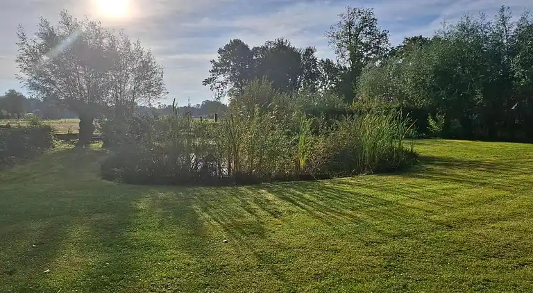 Semesterbostad i Rheezerveen