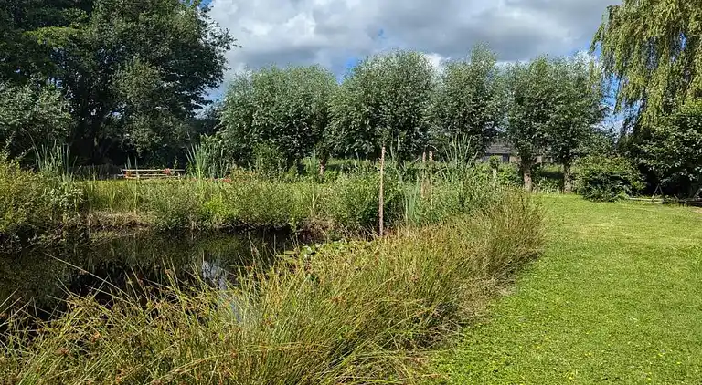 Semesterbostad i Rheezerveen