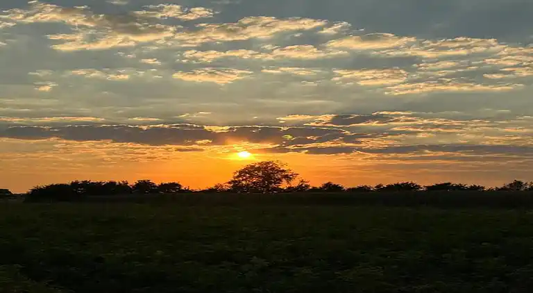 Sommerhus i Rheezerveen