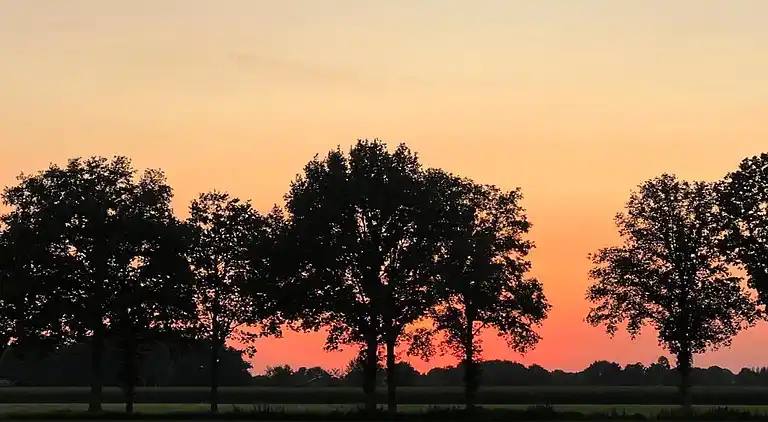Sommerhus i Rheezerveen