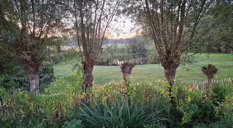 Semesterbostad i Rheezerveen