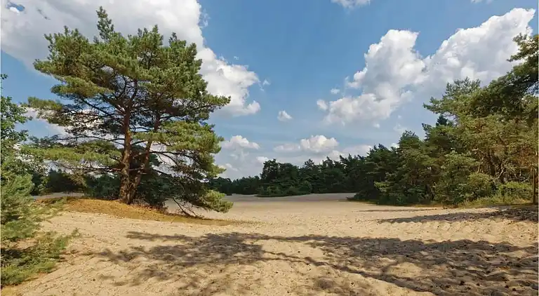 Semesterbostad i Rheezerveen