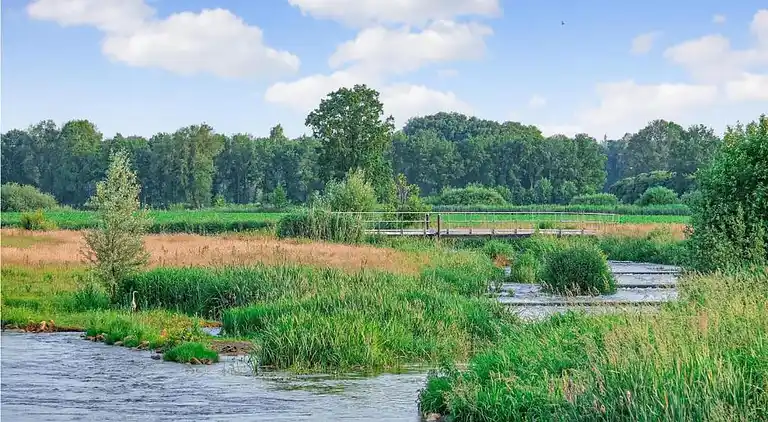 Semesterbostad i Rheezerveen