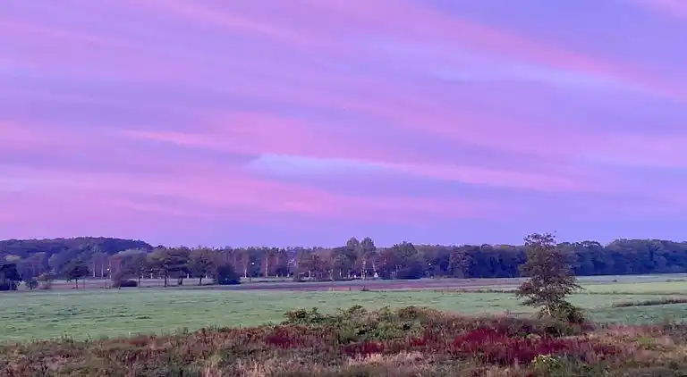 Semesterbostad i Rheezerveen