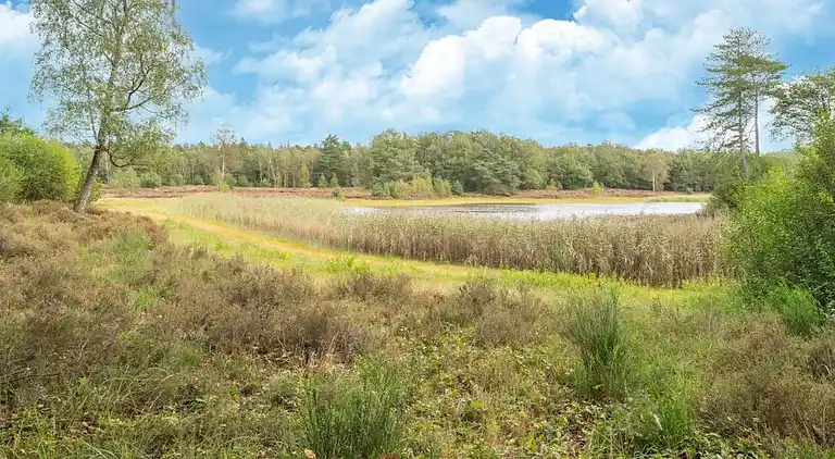 Sommerhus i Rheezerveen