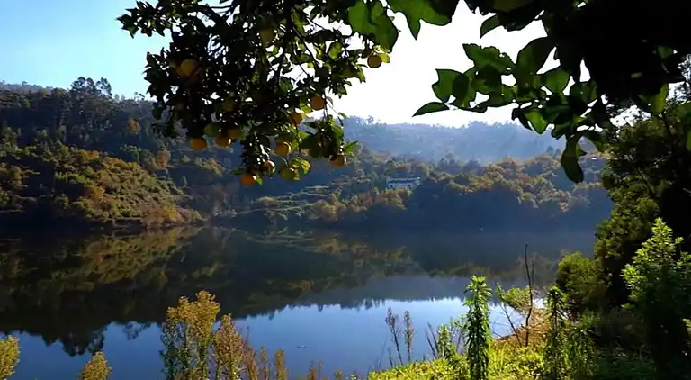 Sommerhus i Vila Cova