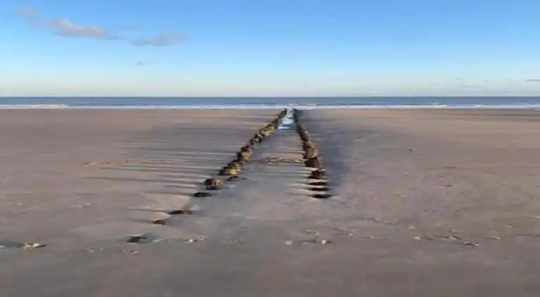 Lägenhet i Maldegem