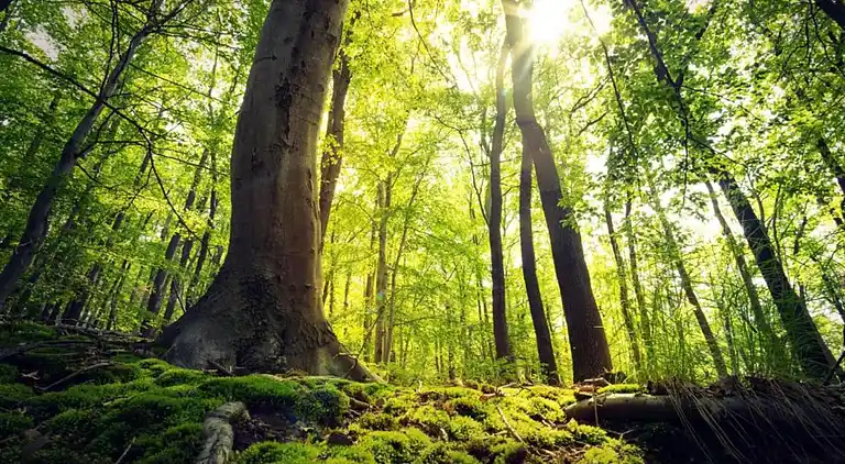 Ferielejlighed i Stormbruch