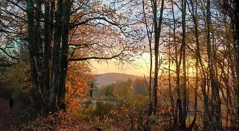 Holiday home in Michaugues