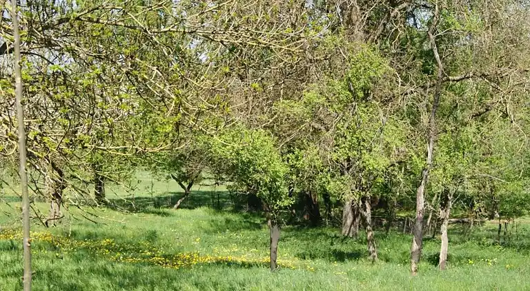 Feriebolig i Berling