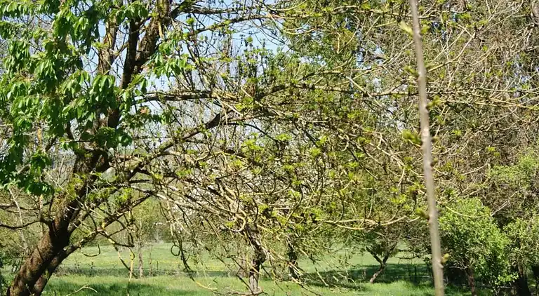 Feriebolig i Berling